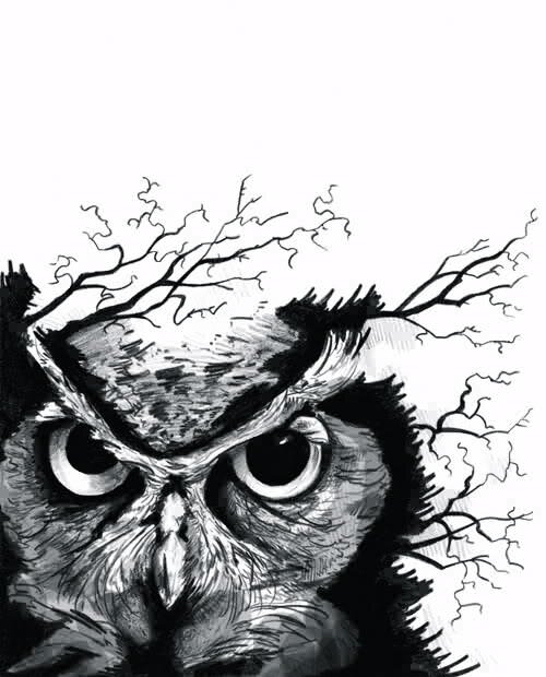 sendriewlikeson's profile banner image