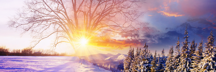 LiraLwn's profile banner image