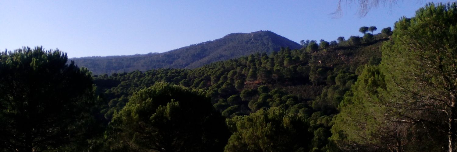 manolillera's profile banner image