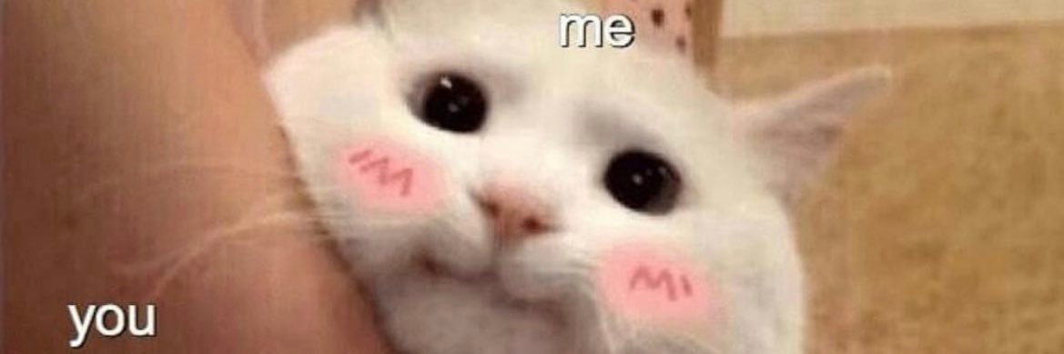 lilyhsrdi banner