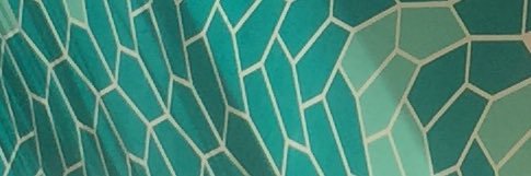 EmilyMolitor's profile banner image
