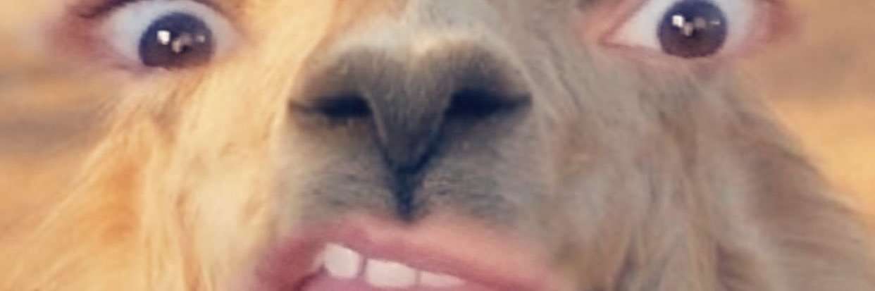 GoodFella005's profile banner image
