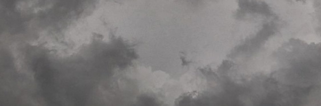 n_1499's profile banner image