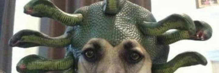 nati_31's profile banner image