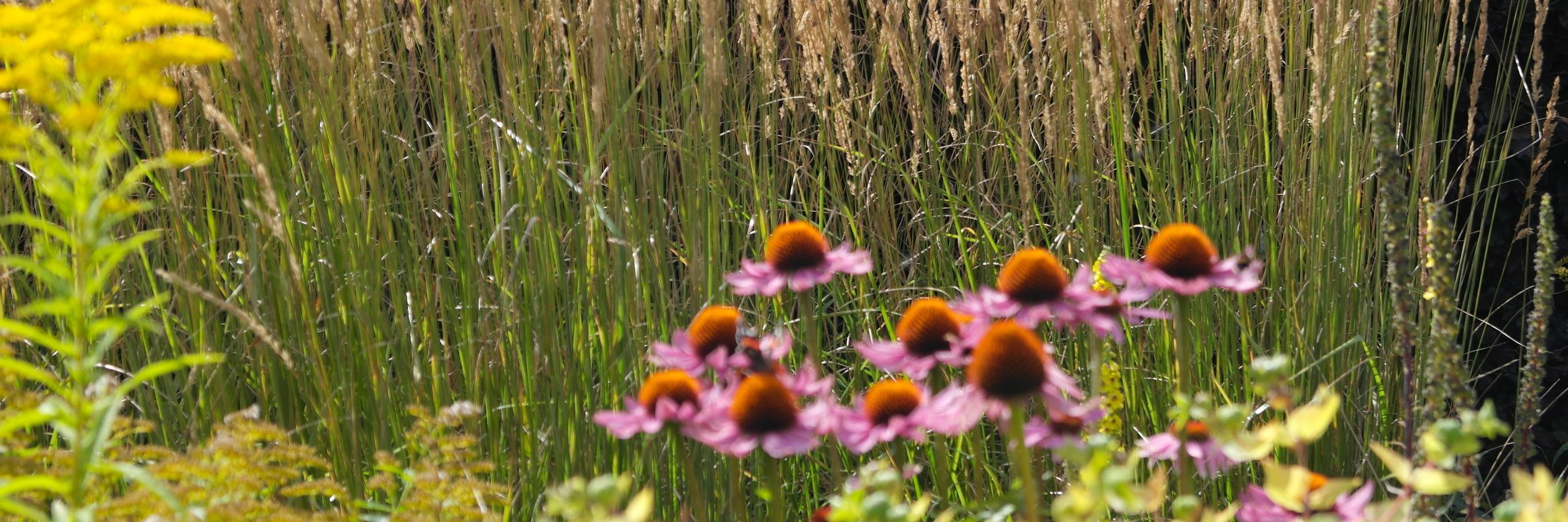 Patrick Brindle banner