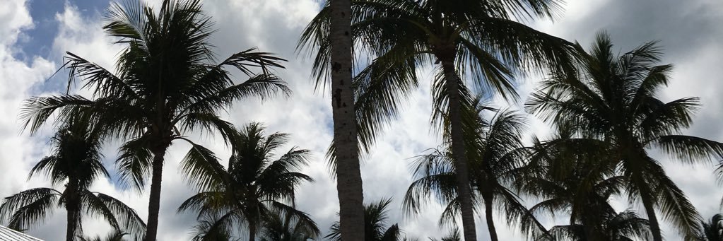 jackistone516's profile banner image