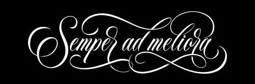 amanda42eales's profile banner image
