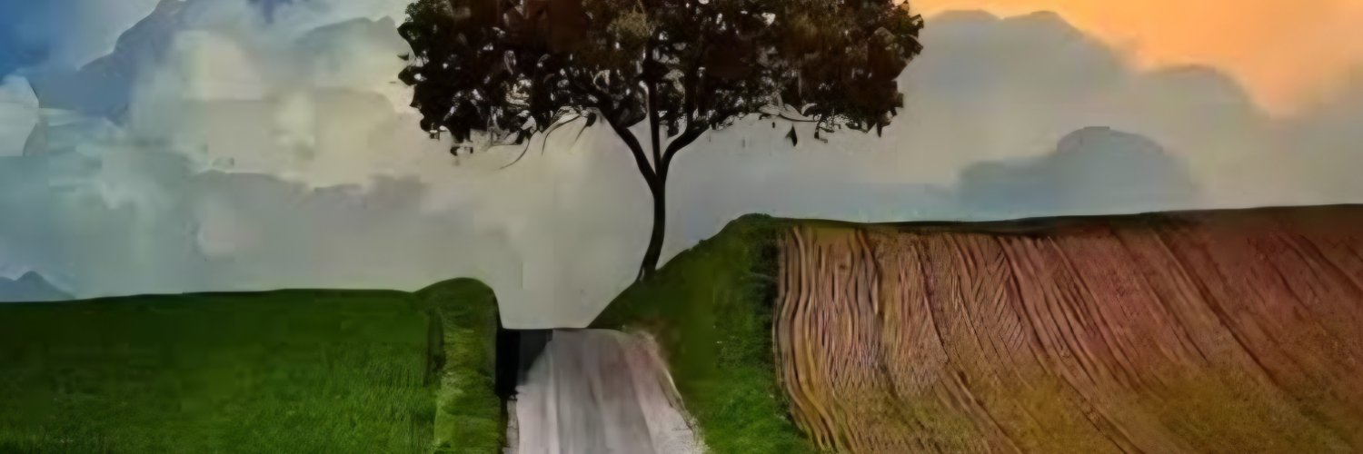 saedsfggmailcom's profile banner image