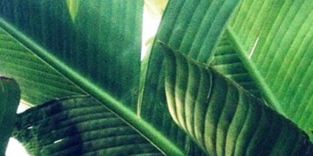 CarlosCulebras's profile banner image