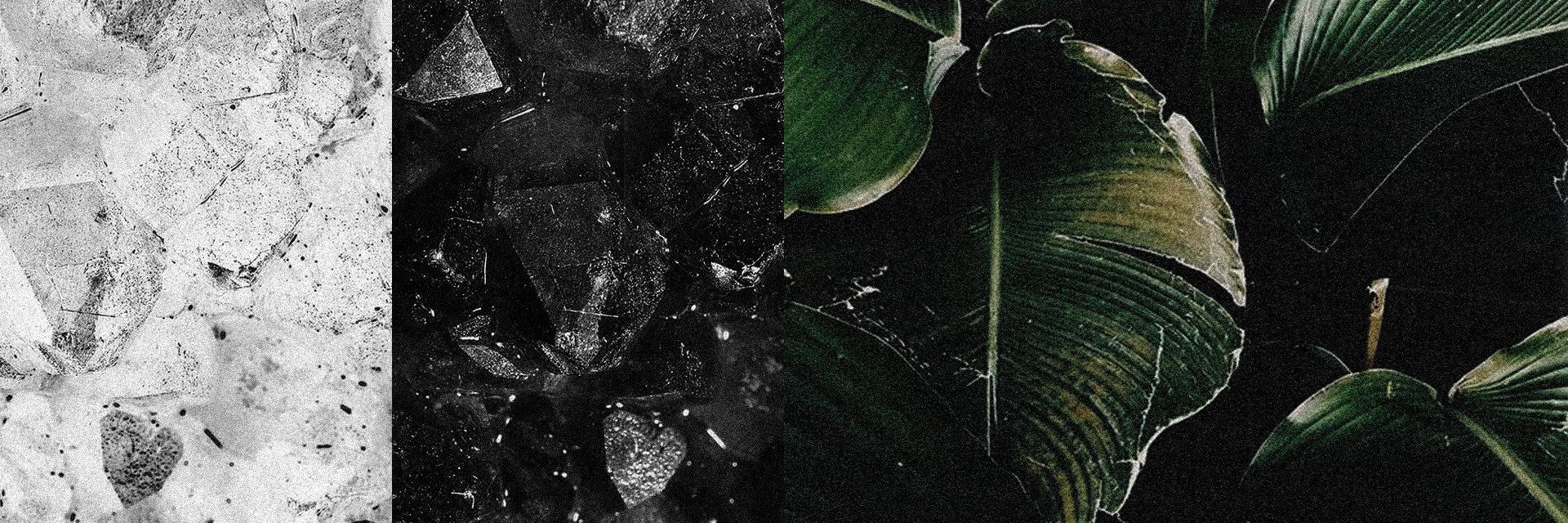 loisdomusic's profile banner image