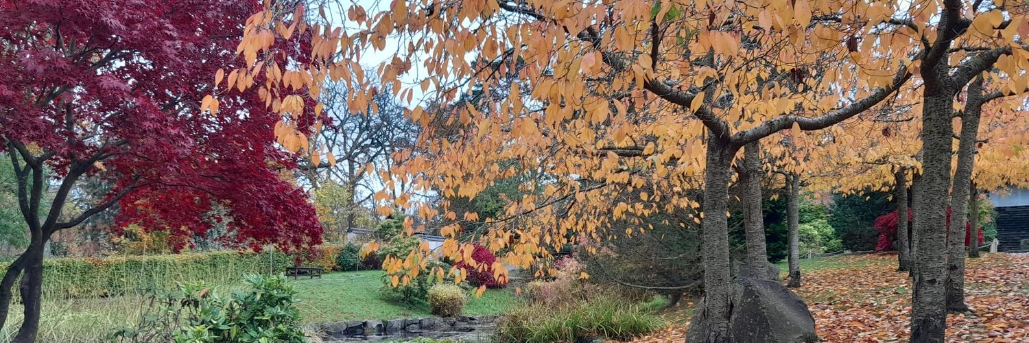 Laura Colucci-Gray banner