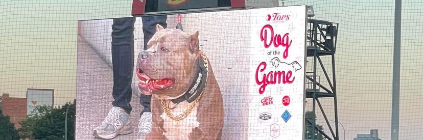 BubbaSalinger's profile banner image