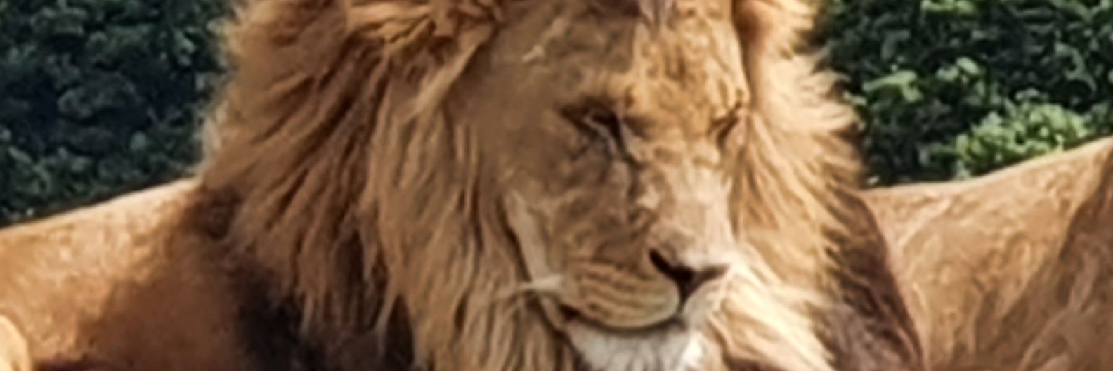 tod1953's profile banner image