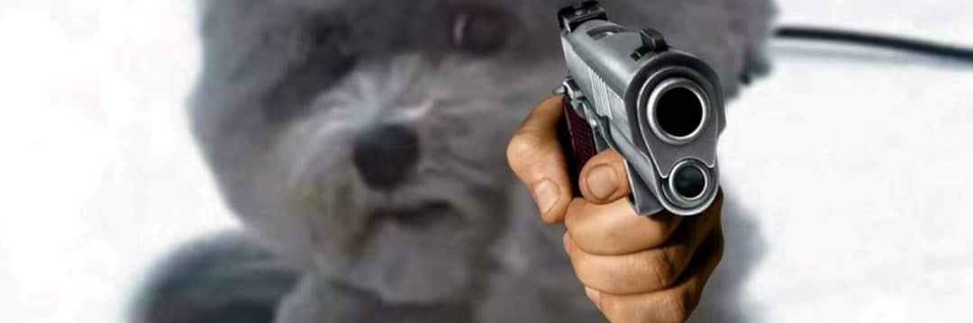 loganphil16's profile banner image