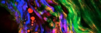leilabm's profile banner image