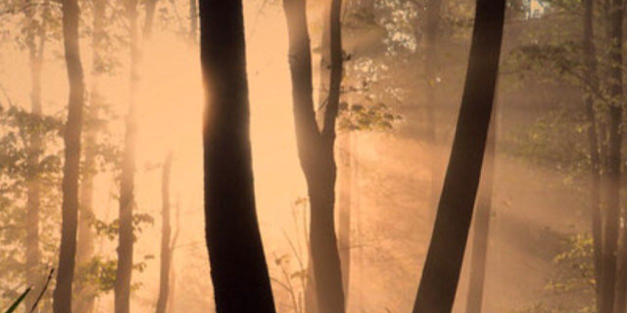 GBrettW's profile banner image