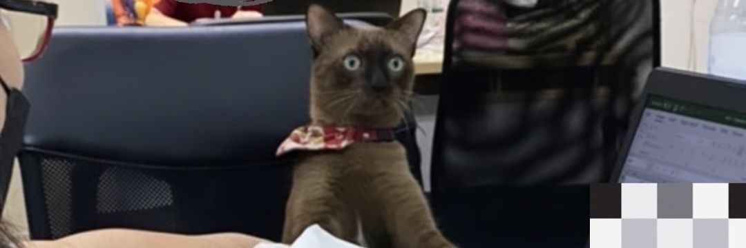 Klamblack's profile banner image