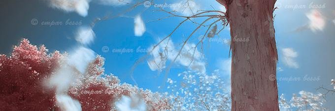 emparbesso's profile banner image