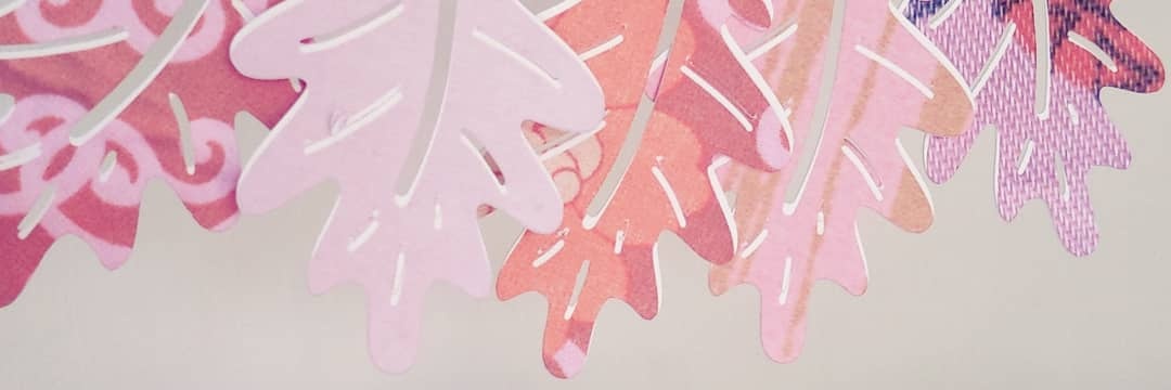 katycatton's profile banner image