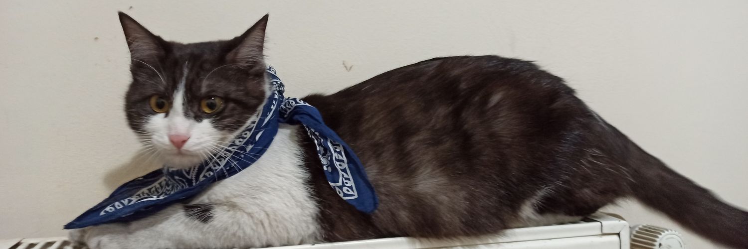 nursediyorki's profile banner image