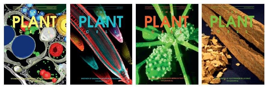 The Plant Cell's banner