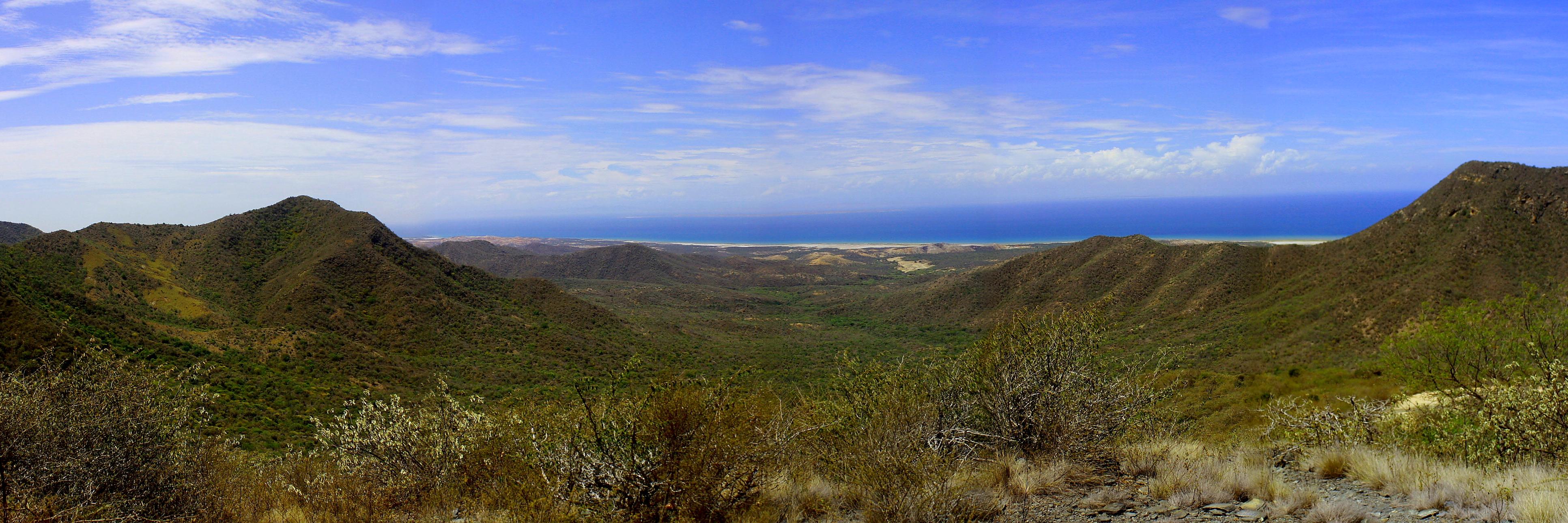 Bibiana Sucre banner