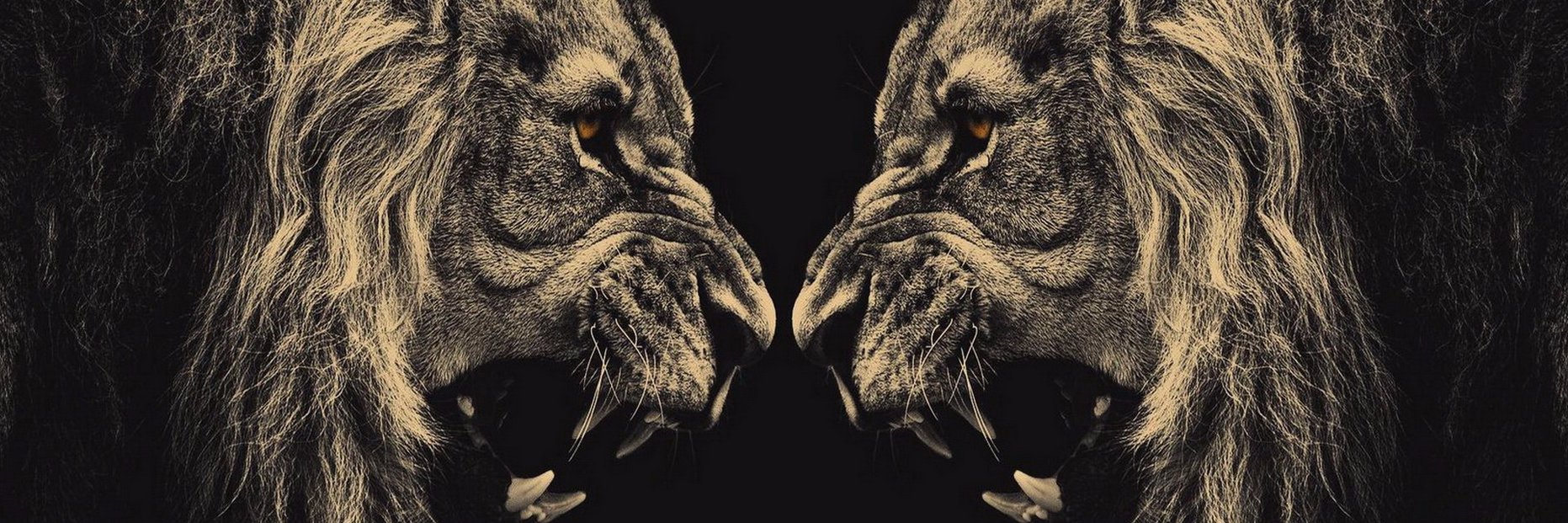 8raquel5's profile banner image
