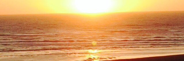 Jennifer Dinkins banner