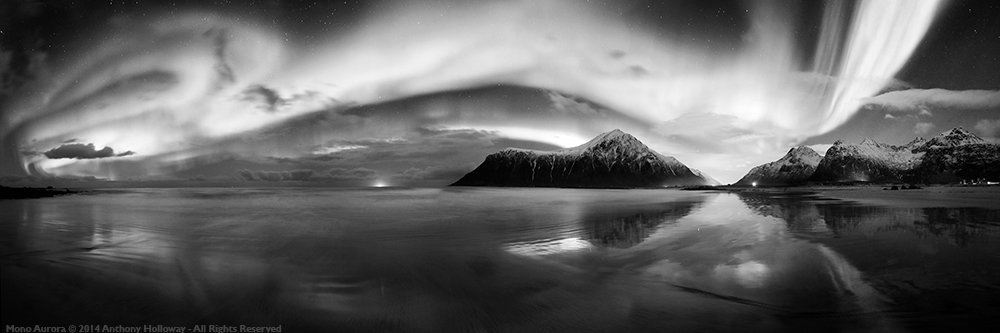 Anthony Holloway banner