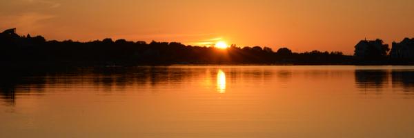 velaa Profile Banner