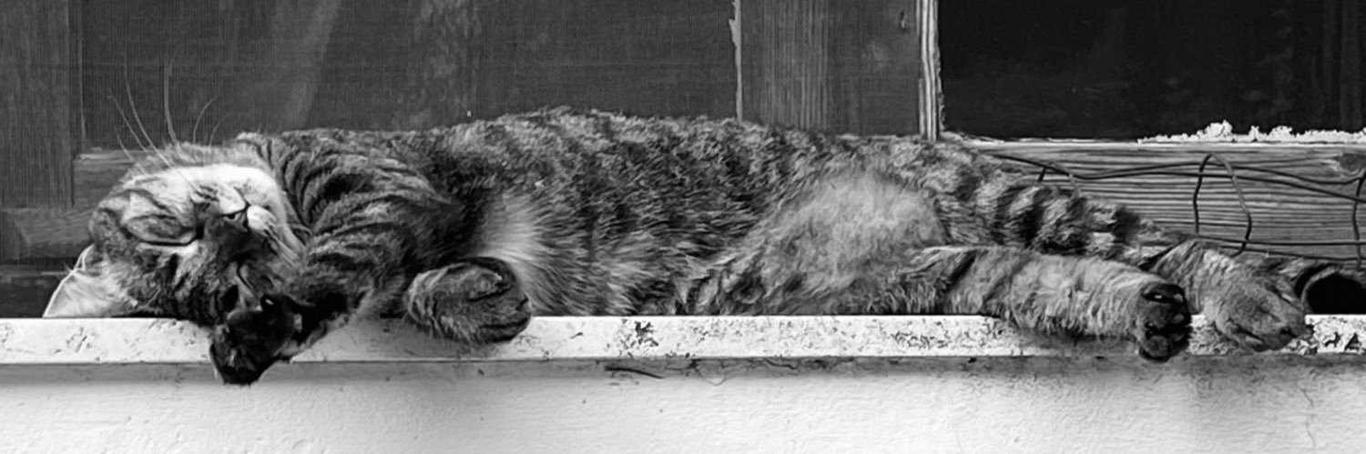 nicstattoo's profile banner image