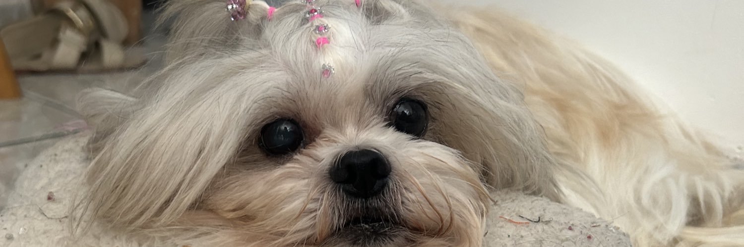 blauraa_'s profile banner image