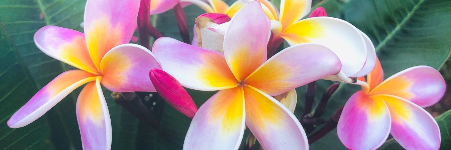 TheJennKlein's profile banner image