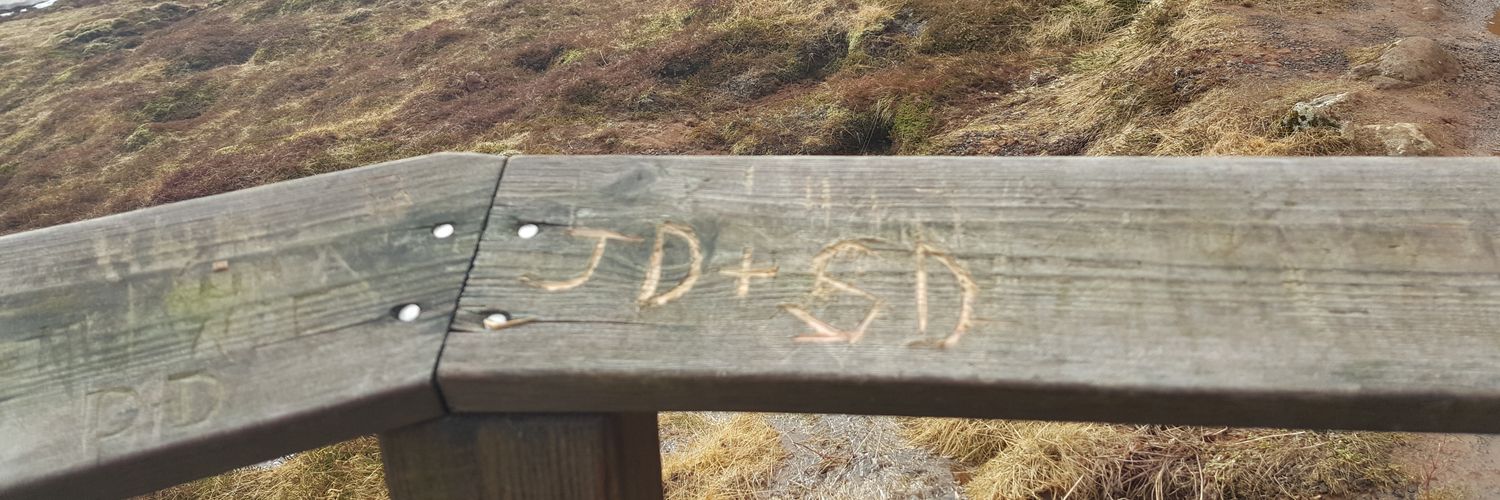 MrsDitmerHHS's profile banner image
