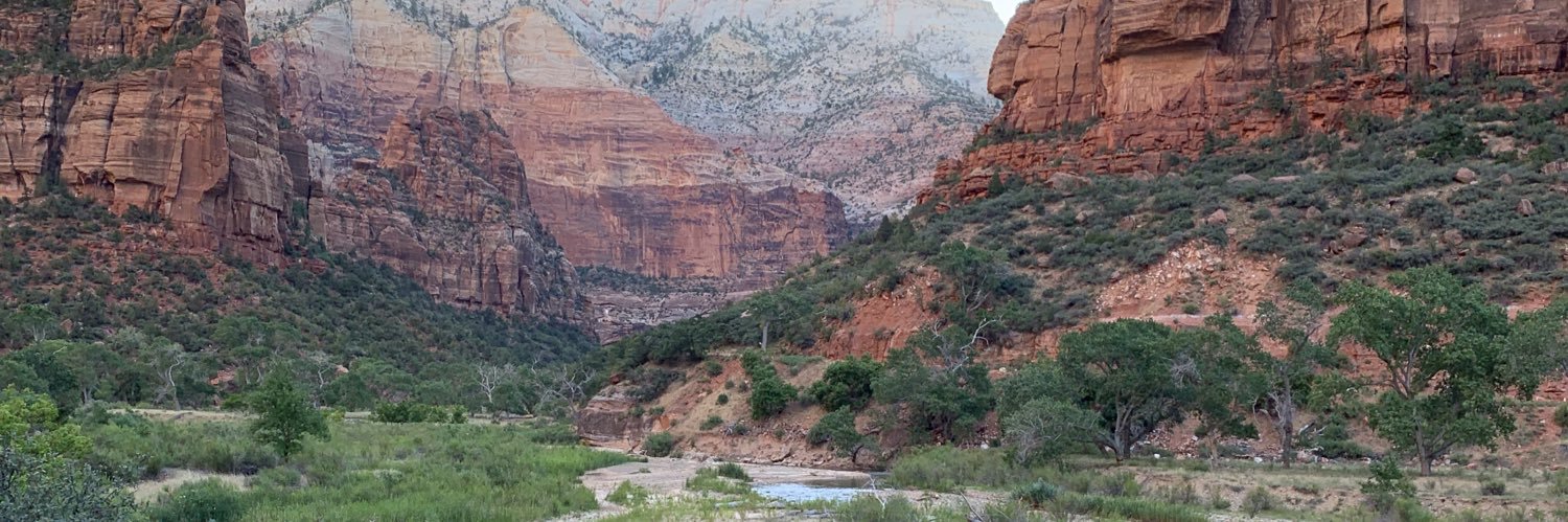 WestynBaylor's profile banner image