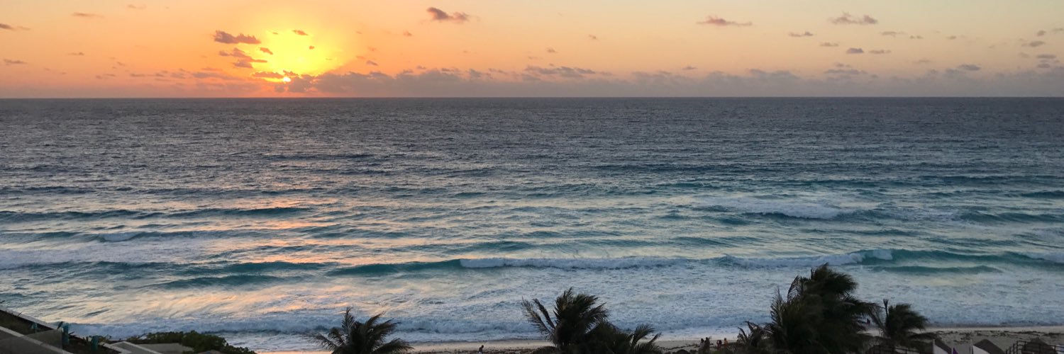 Rhiiix13's profile banner image
