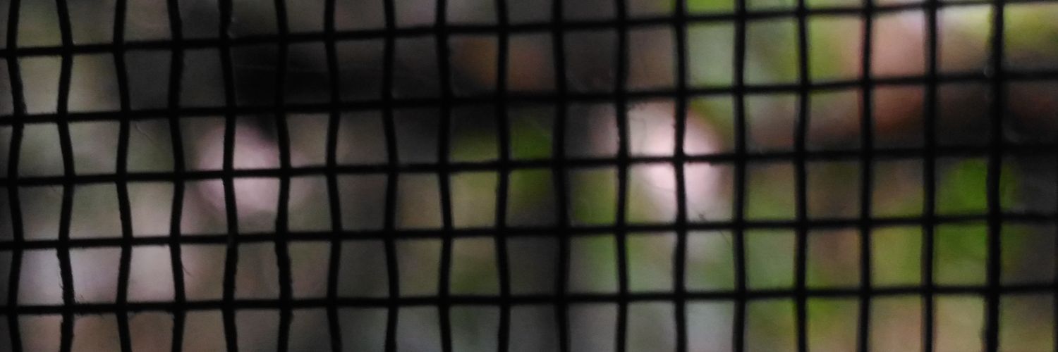 corrineemata's profile banner image