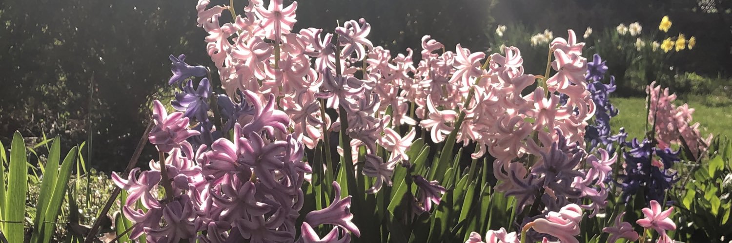 ColleenAMadden's profile banner image