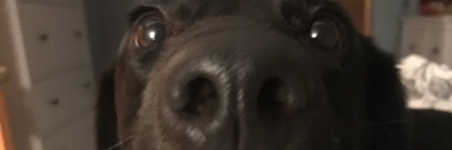 kevinmangano's profile banner image