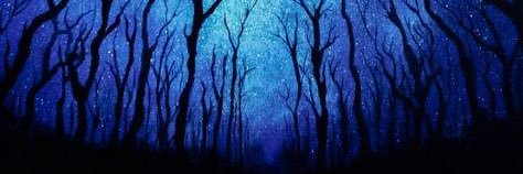 LyraRadford's profile banner image
