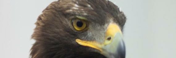 SABROSON19's profile banner image
