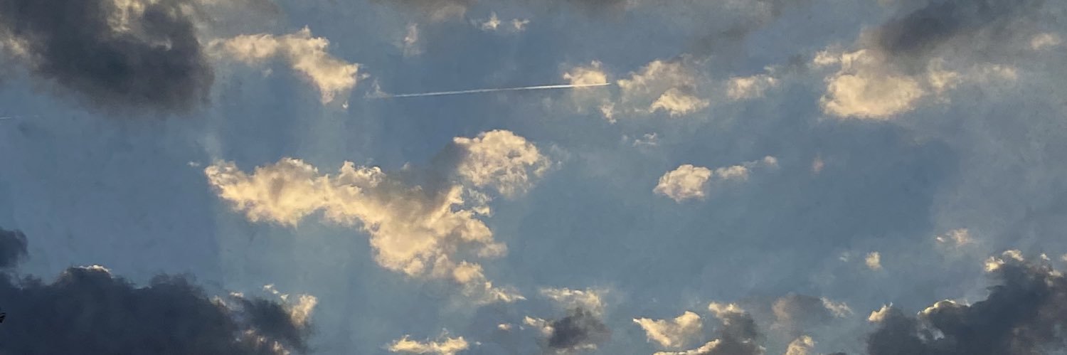 avico55's profile banner image