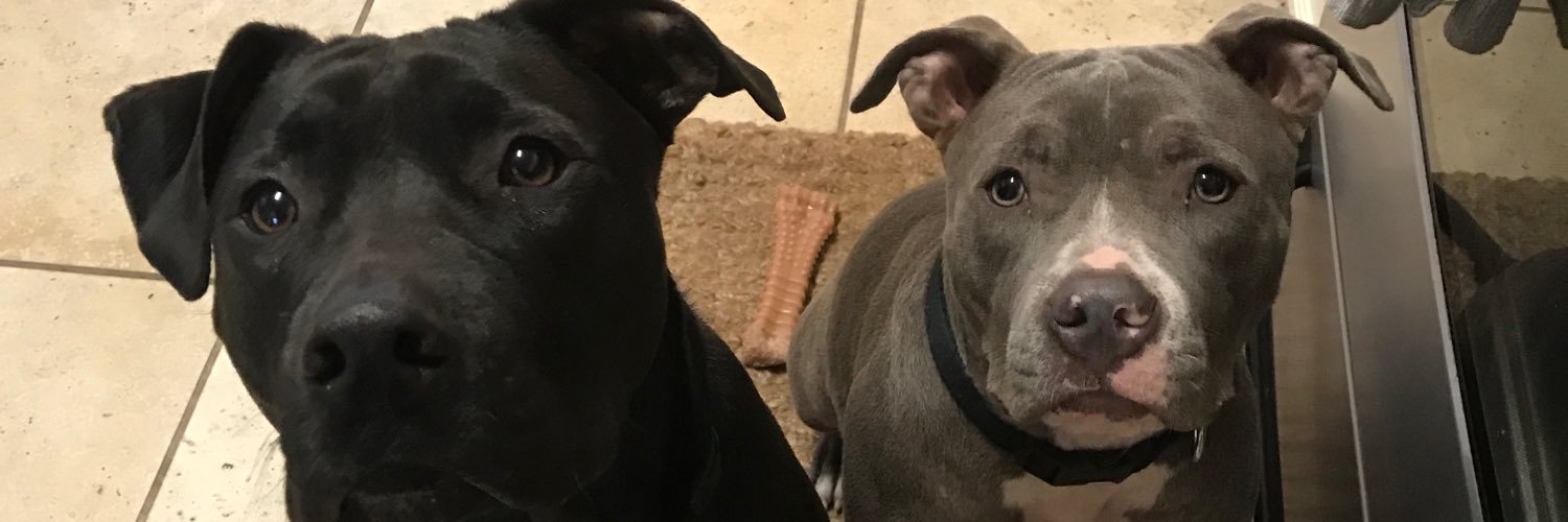Carm624's profile banner image