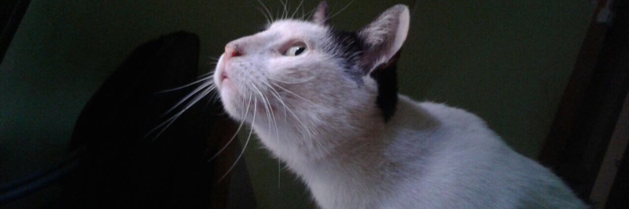 AlexAlex10c's profile banner image