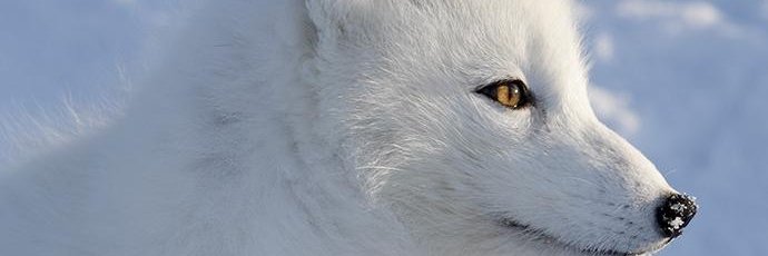 Lyscia44's profile banner image