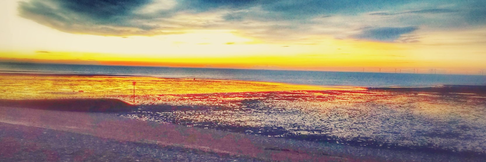 Dr Sarah Combes RN banner