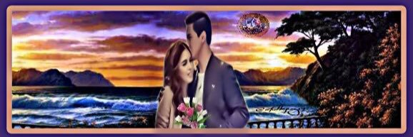 Lizel banner