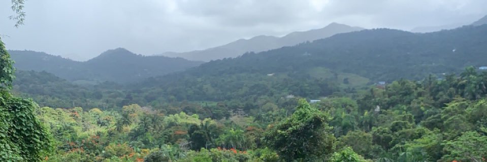 Jawilly3's profile banner image