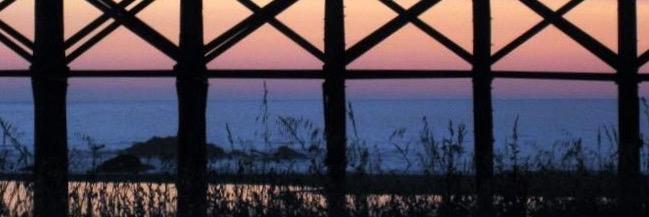 SusansPics's profile banner image