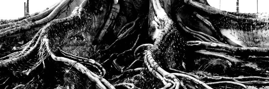_my_eye's profile banner image